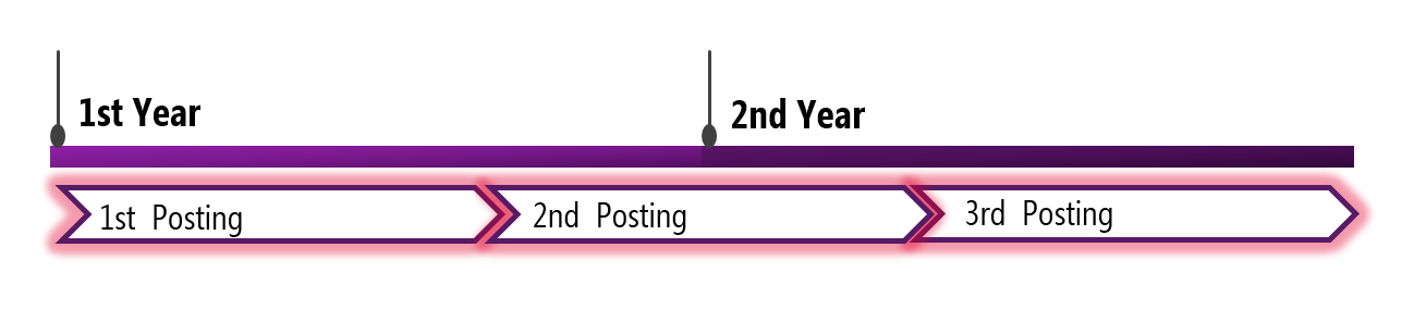 Timeline