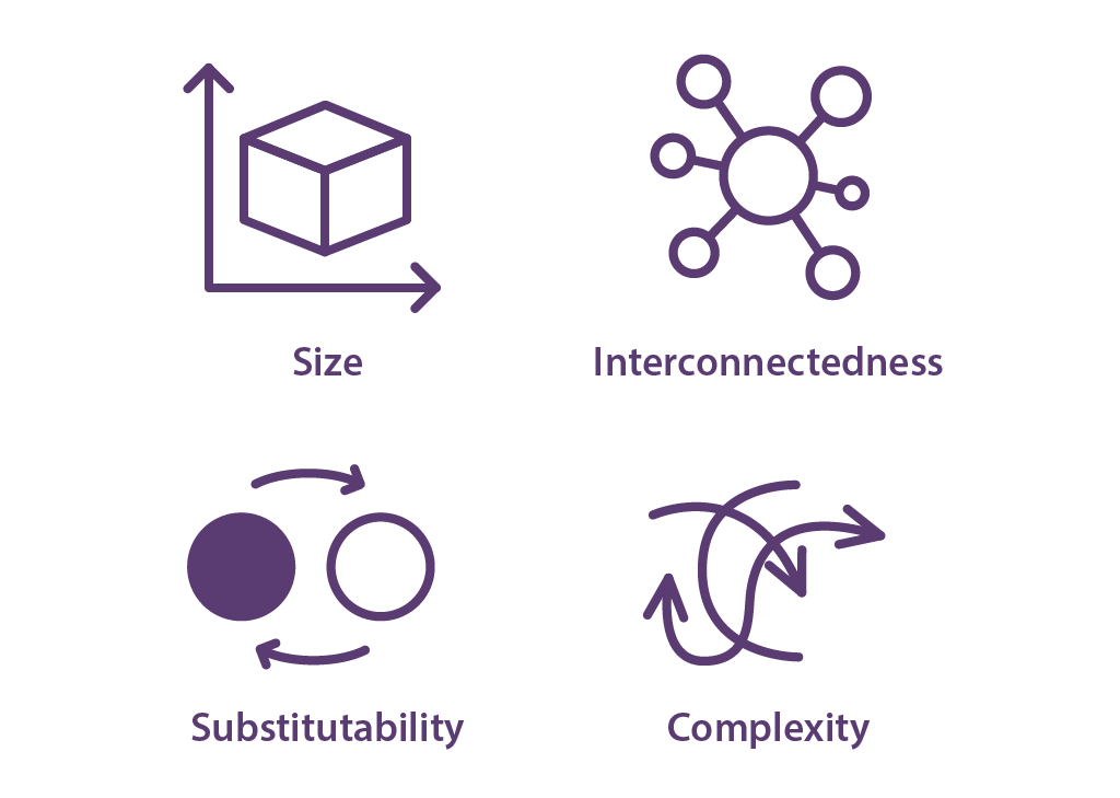 Graphic of Four Assessment Criteria of D-SIB Framework